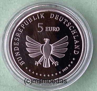 Preview: Deutschland 5 Euro 2023 Siebenpunkt Marienkäfer Sondermünzen A (Berlin) Proof